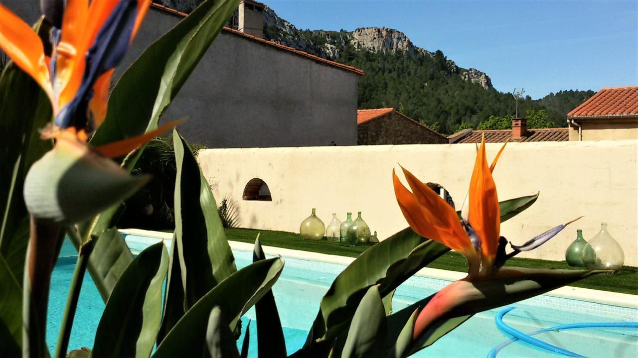 L'Ile Aux Mimosas Bed and Breakfast Tautavel Buitenkant foto
