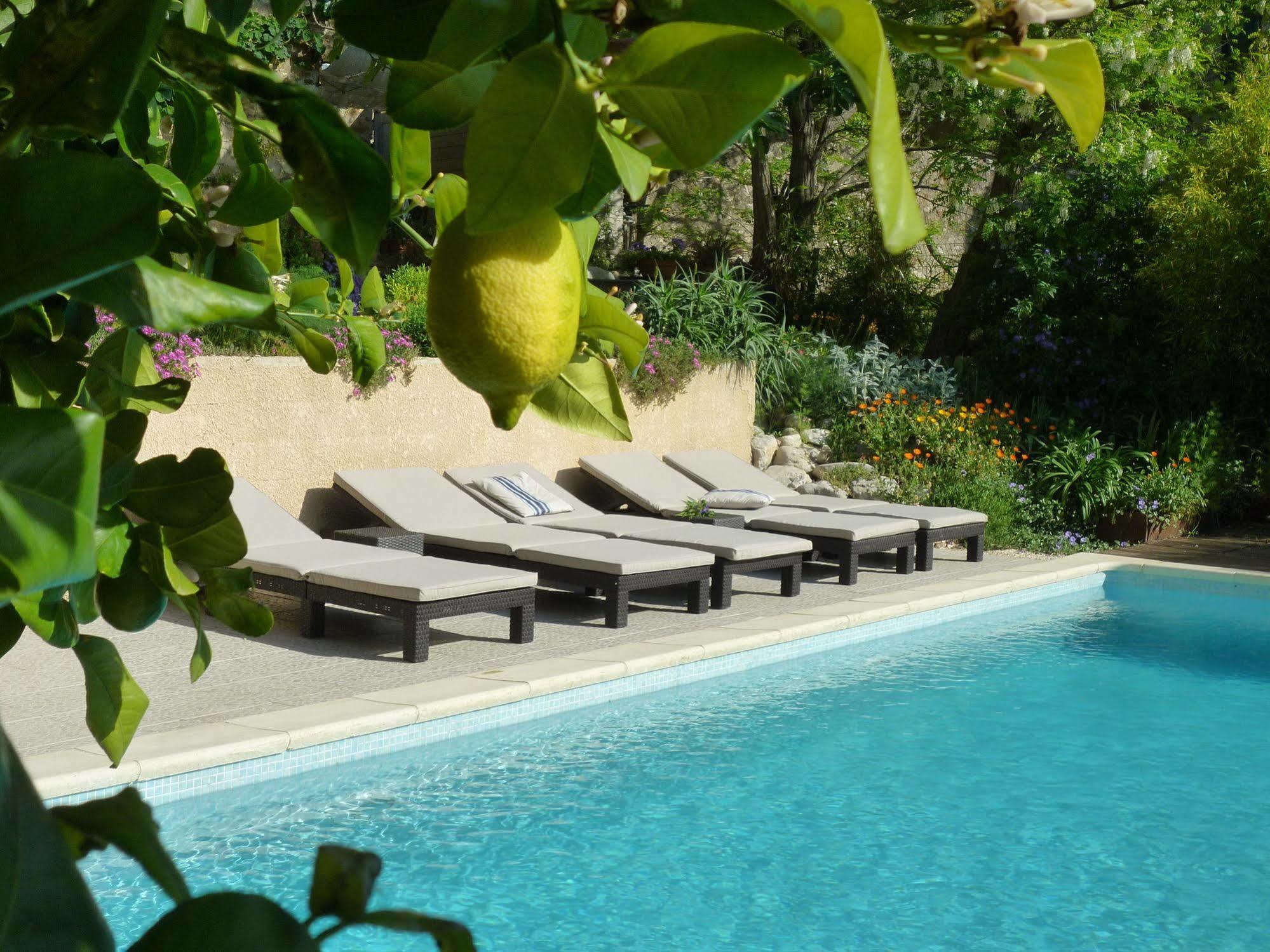 L'Ile Aux Mimosas Bed and Breakfast Tautavel Buitenkant foto